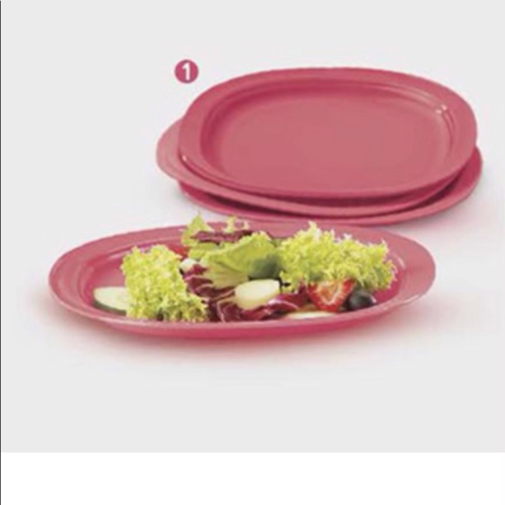 Tupperware Microwave Reheatable Luncheon Plates Set of 4